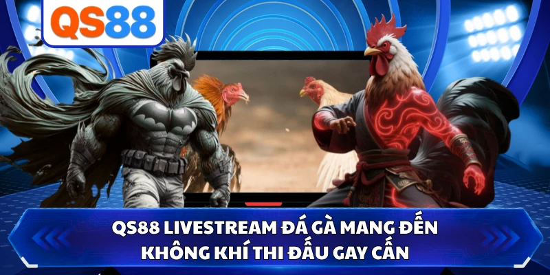 QS88 livestream đá gà mang đến không khí thi đấu gay cấn