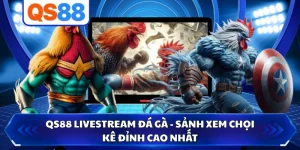 QS88 Livestream Đá Gà - Sảnh Xem Chọi Kê Đỉnh Cao Nhất