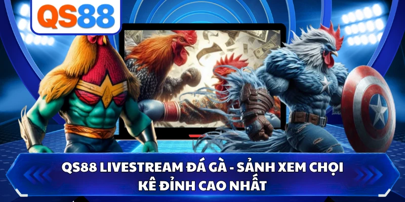 QS88 Livestream Đá Gà - Sảnh Xem Chọi Kê Đỉnh Cao Nhất
