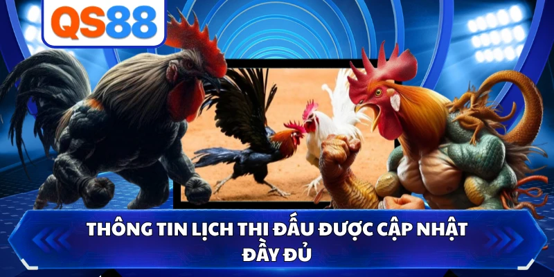 Thông tin lịch thi đấu được cập nhật đầy đủ